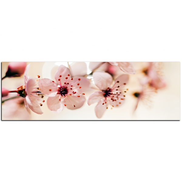 Obraz na plátně - Malé květy na větvi - panoráma